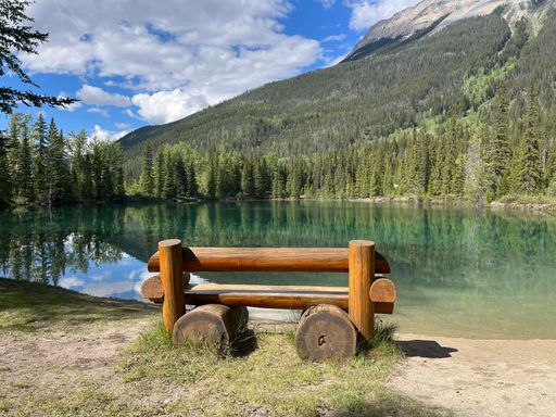 An empty bench made of wooden logs against the background of a beautiful lake and green forest.