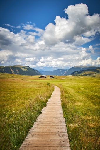 A vertical shot of a boardwalk in a grassy field surrounded by high rocky mountains under a cloudy sky