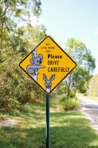 A bright yellow road sign featuring a koala in Australia, alerting drivers to take extra care when driving in the area due to the presence of koalas