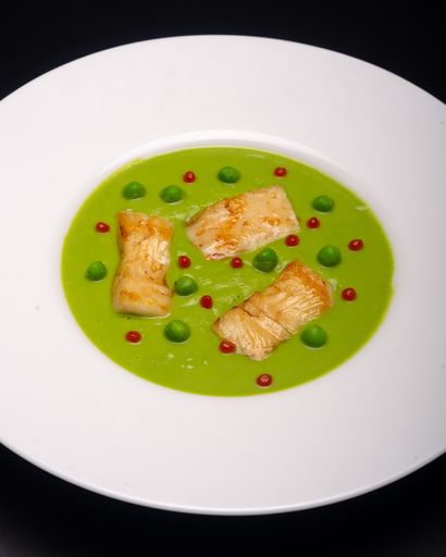 A closeup of fish meat with a green sauce on a white plate