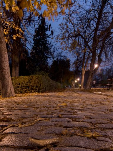 A vertical shot of a night urban city with illuminated lamp posts along a street