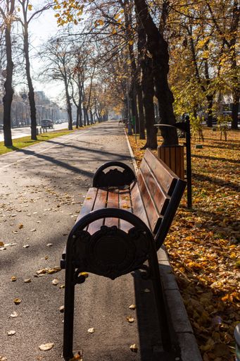 A vertical shot of a bench in the park in autumn