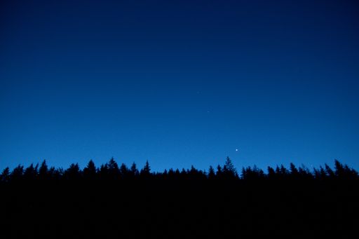 Night sky and silhouette backlit trees and forest. Low view angle of top trees. Clear sky. Shadow of night