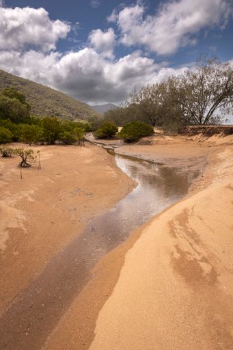 A serene landscape featuring a sandy beach at West Point on Magnetic Island, located off the coast of Townsville in Far North Queensland, Australia