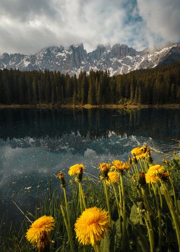A vertical shot of yellow flowers grown on the lakeside captured at daytime in spring