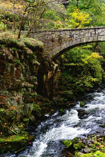 A river surrounded by rocks covered in greenery in a forest with a stone bridge under sunlight