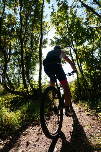 A vertical shot from behind of a cyclist riding his bike in a forest