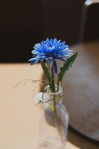 A vertical shot of cornflower in a small glass bottle on the table