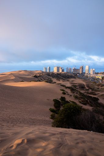A vertical shot of desert with buildings background under a cloudy sky