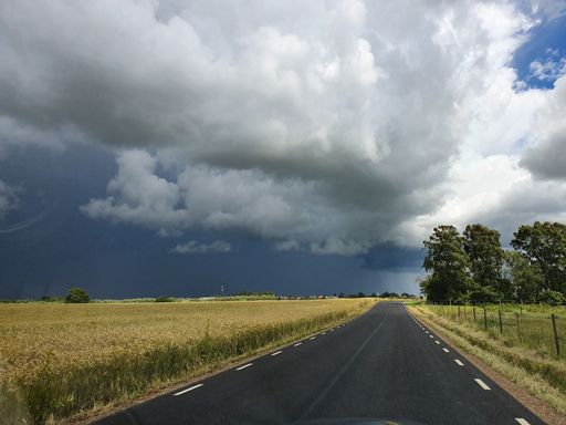 A narrow road between fields with a cloudy sky in the background
