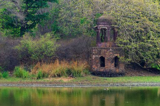 An ancient concrete well near the lake in Ranthambhore National Park, India