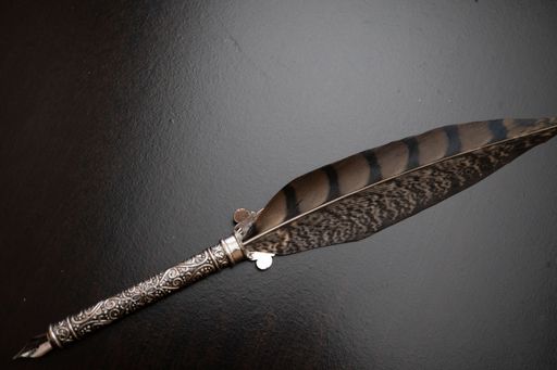 A closeup shot of a feather for a quill pen on a gray surface