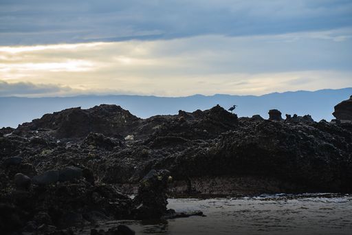 A bord on the rock formation in Karang Bokor Sawarna in Indonesia under blue cloudy sky