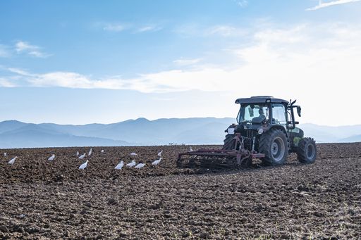 A view of a tractor tilling the field with birds behind on a sunny day