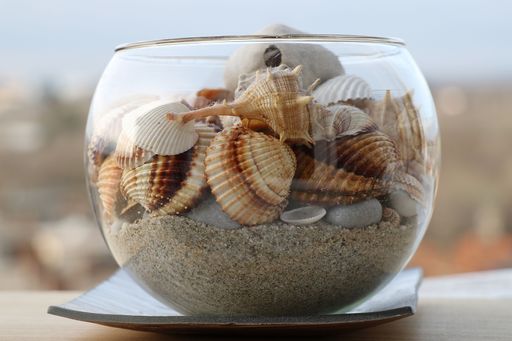 A glass bowl filled with white and brown shells and sand