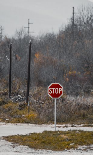 A red traffic sign with 'stop' on it on the road with bare trees in the background