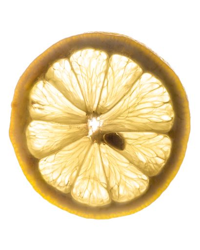 A closeup shot of a fresh lemon slice texture details isolated on a white background