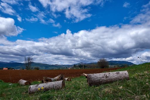 A beautiful scenery of a field full of different kinds of plants in the countryside