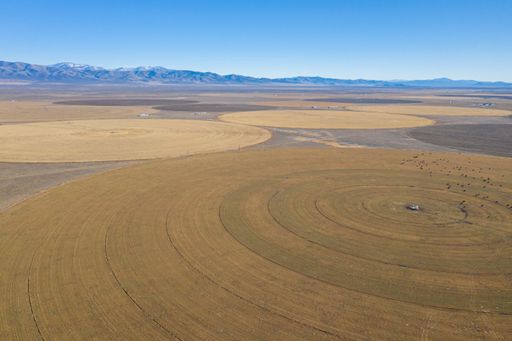 Large circular agricultural fields spread out on the flat desert landscape beneath a view of the distant mountains.