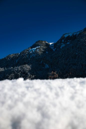 A vertical shot of a green-covered hill seen behind snow on the ground