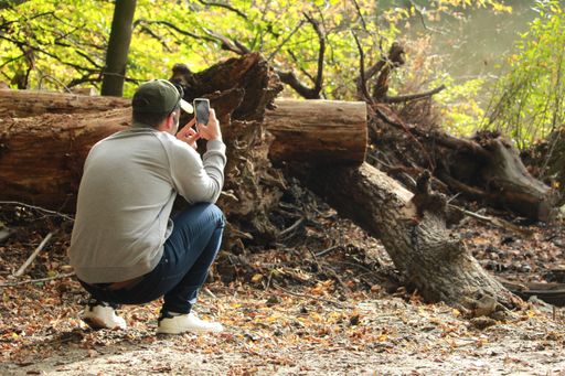 A man taking a picture in a forest