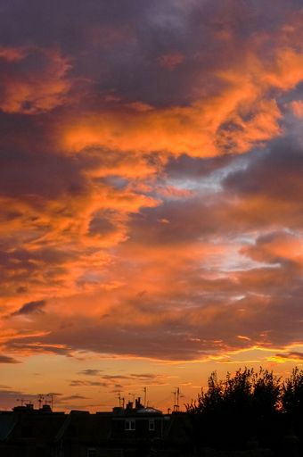 A beautiful shot of silhouettes of trees on the background of the colorful sunset sky