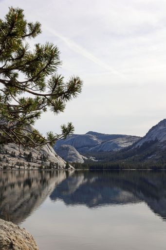 The Teneya Lake at Yosemite National Park, California surrounded by lush greenery and mountains