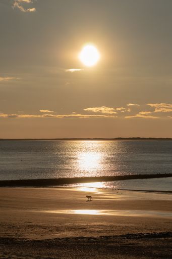 A majestic shot of a brightly shining sunset sun with a reflection on calm seawater in Norderney, Germany