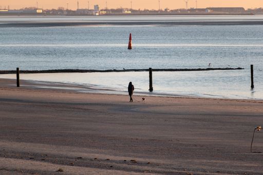 A back view of a person walking a dog along the sandy coastline in Norderney, Germany