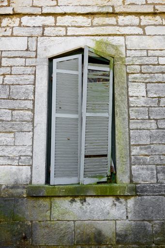 A vertical shot of a window of an old abandoned building covered in moss