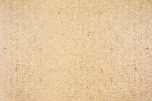 A closeup shot of a bright wooden surface - perfect for background