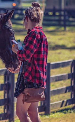 A back view of young girl in plaid shirt and skirt feeding a black horse behind the fence