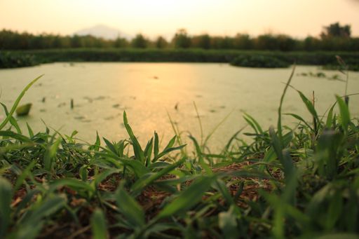 A beautiful scenery of the sun reflecting on the lake in Korea
