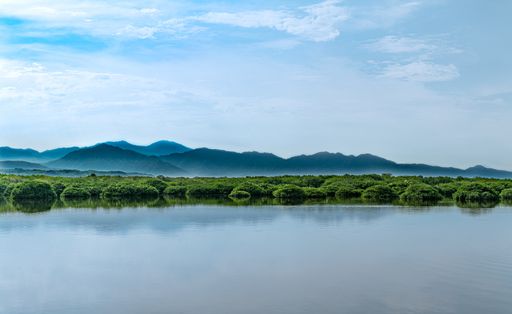 A beautiful calm scenery of a sea surrounded by a green scenery under the clear sky