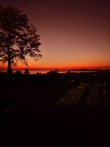 This photo was taken in the evening near lake of Bhopal. Perfect evening lighting.