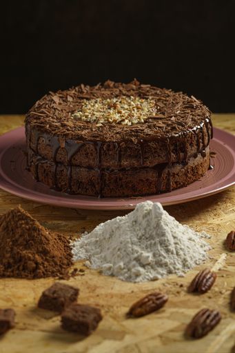 A closeup of a freshly made delicious chocolate cake with crushed walnuts on a plate