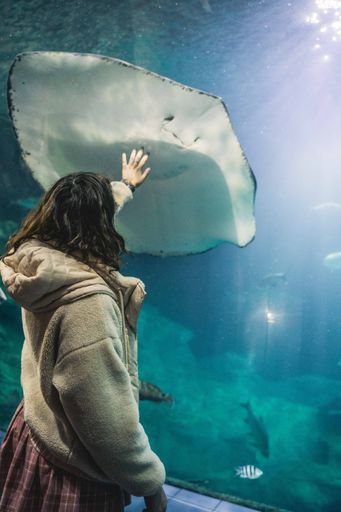 A female touching animals behind Aquarium in the blue water