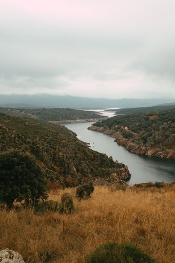 A vertical shot of a calm lake surrounded by trees under a cloudy sky