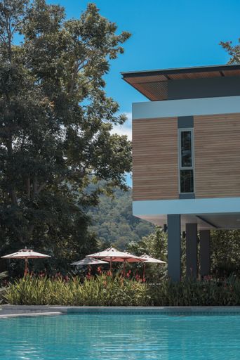 A vertical shot of a house with a big pool surrounded by a green scenery