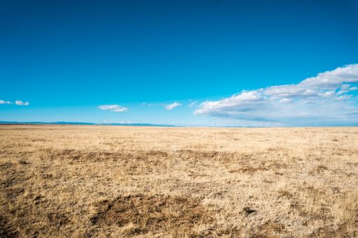 Dried out land under a blue sky