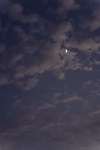 A vertical low angle shot of the moon captured on a cloudy day