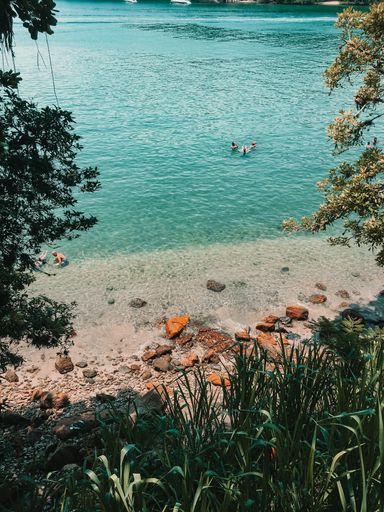 A vertical shot of calm clear seawater and a tropical sandy coastline covered by lush vegetation