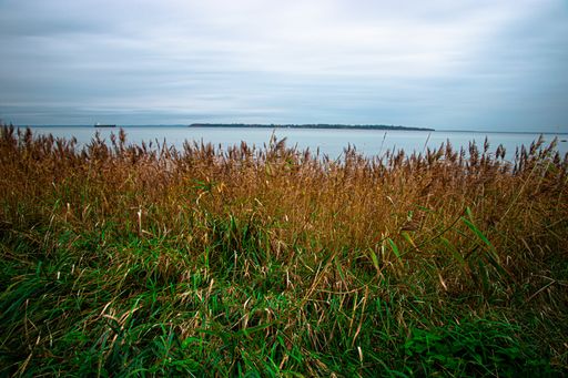 The beautiful grass covered beach by the sea under the dull cloudy sky