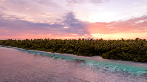 An aerial wide shot of a beach with trees next to the sea in Maldives during sunset