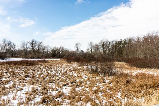 A beautiful snow covered land surrounded by tall trees under the cloudy sky