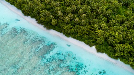 An aerial shot of Maldives showing the amazing beach the clear blue sea and the jungles