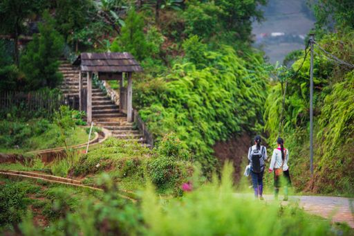 A beautiful shot of two girls walking along a small road in Sapa, Northern Vietnam between a lush green forest and a stairway in the background
