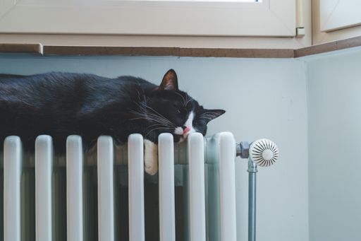 A cute black cat sleeping on a heating radiator