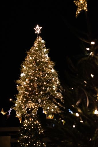 A vertical low-angle of decorated Christmas tree at night outdoors