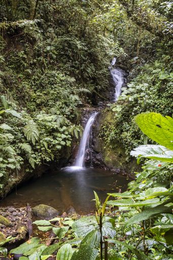 A vertical shot of a beautiful waterfall in a forest surrounded by greenery